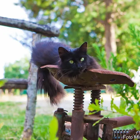 Poggio Paradiso Εξοχικό σπίτι Mengara